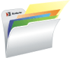DMS-Logo